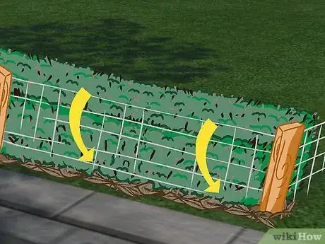 Image titled Plant a Beech Hedge Step 21