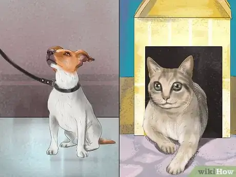 Image titled Keep a Dog or Cat Successfully While Living in an Apartment Step 12