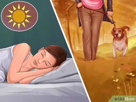 Image titled Introduce a Dog to a New Family Member Step 6