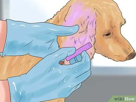 Image titled Dye Your Pet Step 11