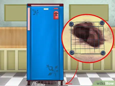 Image titled Buy a Ferret Step 10