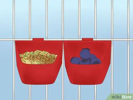 Image titled Feed a Conure Step 4