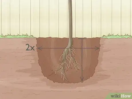 Image titled Keep a Pear Tree Healthy Step 4