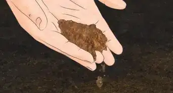 Prepare Garden Soil for Tomatoes