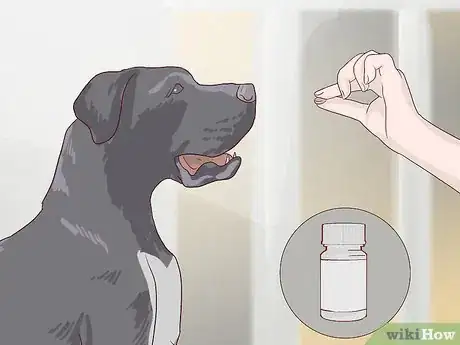 Image titled Feed an Older Dog with Heart Disease Step 4