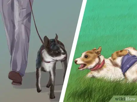 Image titled Adopt a Terrier Step 10