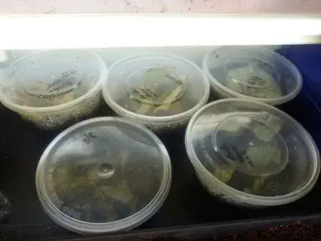 Image titled IMG_20160613_165018