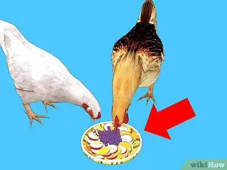 Image titled Feed Chickens Organically Step 6