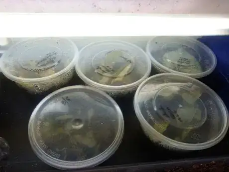 Image titled IMG_20160613_165020