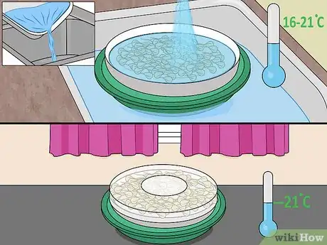 Image titled Grow Popcorn Shoots Step 5