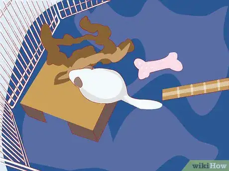Image titled Entertain Your Chinchilla Step 3