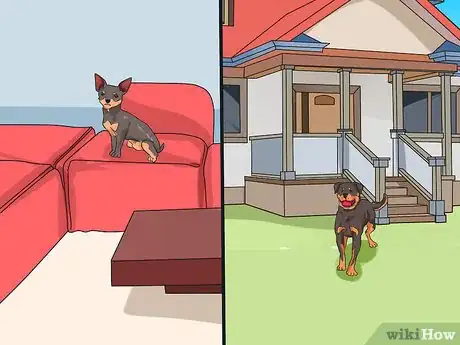 Image titled Choose a Laid‐Back Dog Step 1