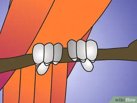 Image titled Teach Your Parrot to Wave Hello Step 2