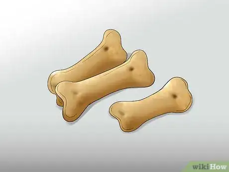 Image titled Walk a Dog in the Woods Step 9