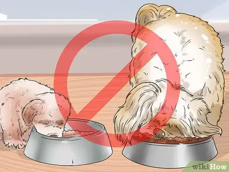 Image titled Improve the Appetite of an Older Dog Step 6