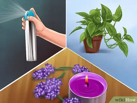 Image titled Protect Birds from Household Dangers Step 5