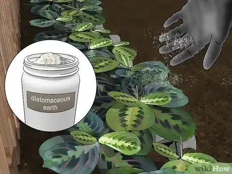 Image titled Buy Organic Insecticides Step 11