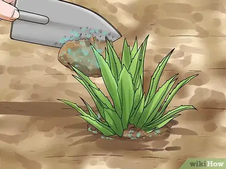 Image titled Grow Great Herbs Step 23