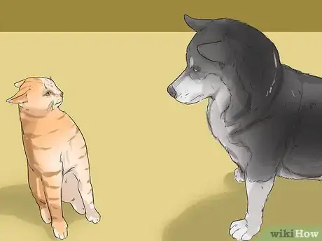 Image titled Dog‐Sit when You Have a Small Pet Step 6