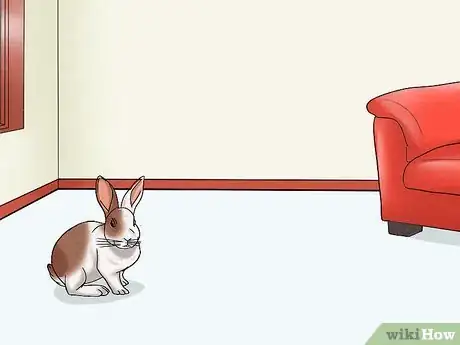 Image titled Win a Rabbit's Trust Step 10