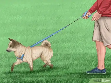 Image titled Prepare Your Small Dog for Apartment Living Step 2