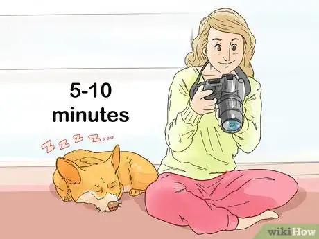 Image titled Photograph Dogs Step 10