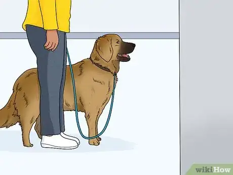 Image titled Keep a Dog Out of the Kitchen Step 4