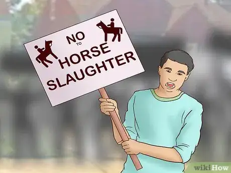 Image titled Work to Stop Horse Slaughter Step 9