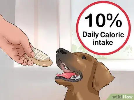 Image titled Give a Dog a Merry Christmas Step 14