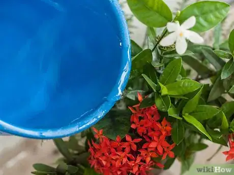 Image titled Make Floral Craft Arrangements Step 11