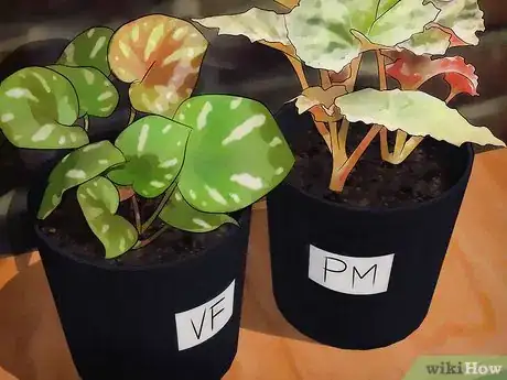 Image titled Clean a Planter Step 15