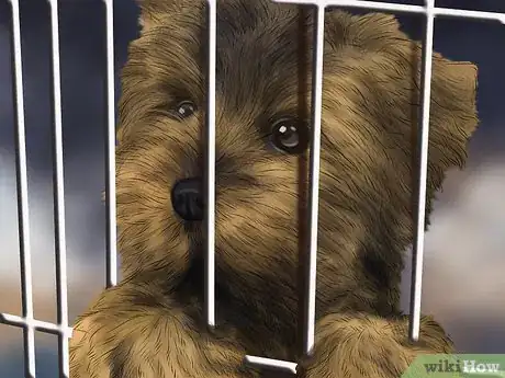 Image titled Care for an Australian Terrier Step 10