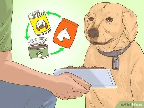 Image titled Get a Dog to Eat Step 12