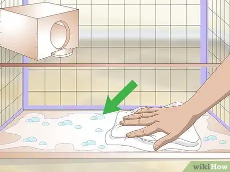 Image titled Clean and Maintain Lory and Lorikeet Habitats Step 4