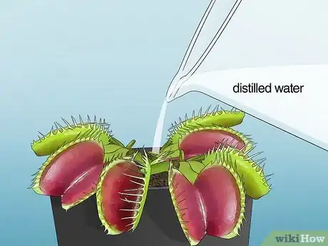 Image titled Feed Carnivorous Plants Step 7