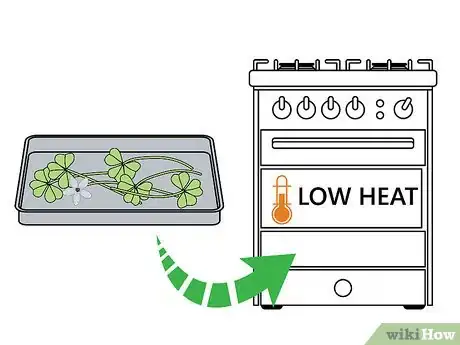 Image titled Harvest Wood Sorrel Step 8
