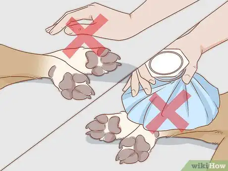 Image titled Treat Frostbite in Dogs Step 5