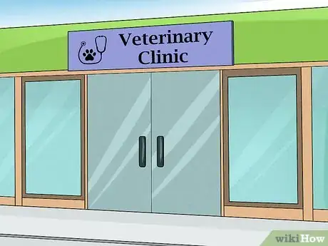 Image titled Treat Lameness in Dogs Step 7