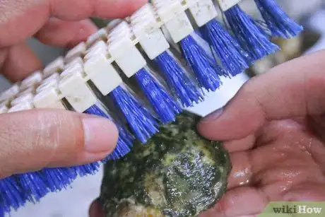 Image titled Cook Oysters Step 5