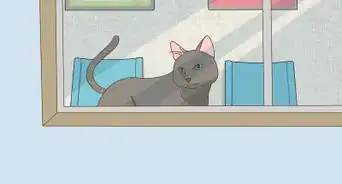 Help a Fallen Fledgling