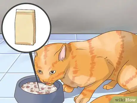 Image titled Prevent Cat Hairballs Step 5