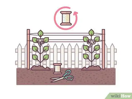 Image titled Grow Boysenberries Step 12