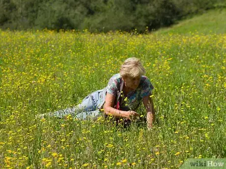 Image titled Spend Summer Vacation in the Mountains Step 9