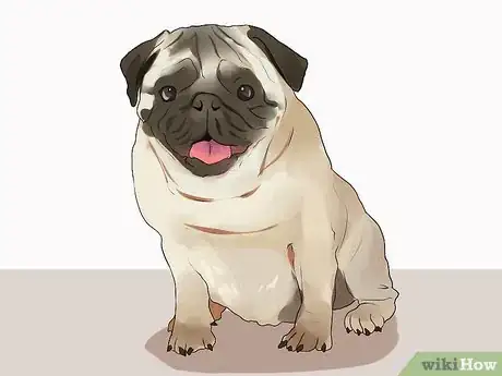 Image titled Choose a Laid‐Back Dog Step 6