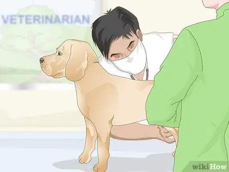 Image titled Treat Canine Tick Problems Step 6