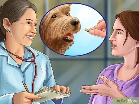 Image titled Treat Diarrhea and Constipation in Dogs and Cats Step 11