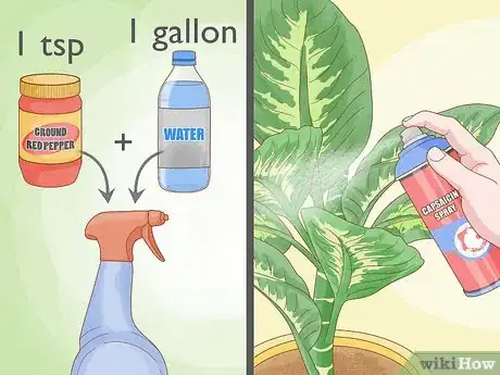 Image titled Get Rid of Thrips Indoors Step 10