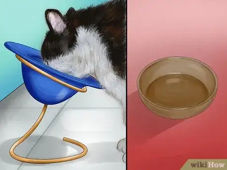 Image titled Choose Food and Water Dishes for Your Cat Step 2