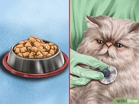 Image titled Make Vet Visits Less Stressful for Your Cat Step 6