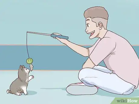 Image titled Train a Cat to Stop Fearing Sudden Movements Step 4